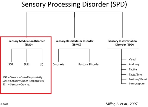 Sensory Processing Disorder Chart